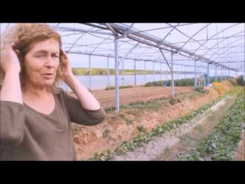 Quinta do Arneiro – Agricultura Biológica é que é Agricultura