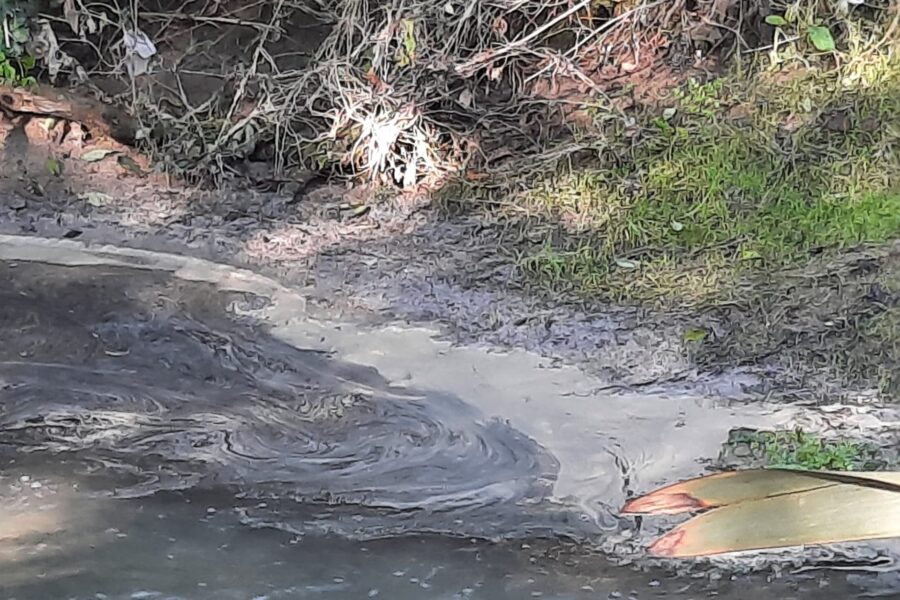Pollution in the Ul River (poluição no rio Ul)- Oliveira de Azeméis