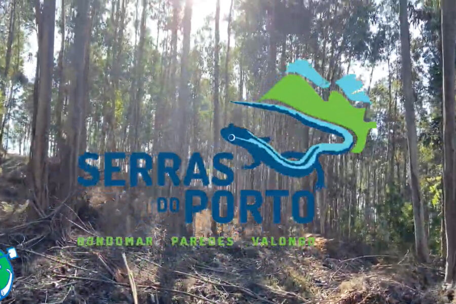 “Arejar” no Parque das Serras do Porto