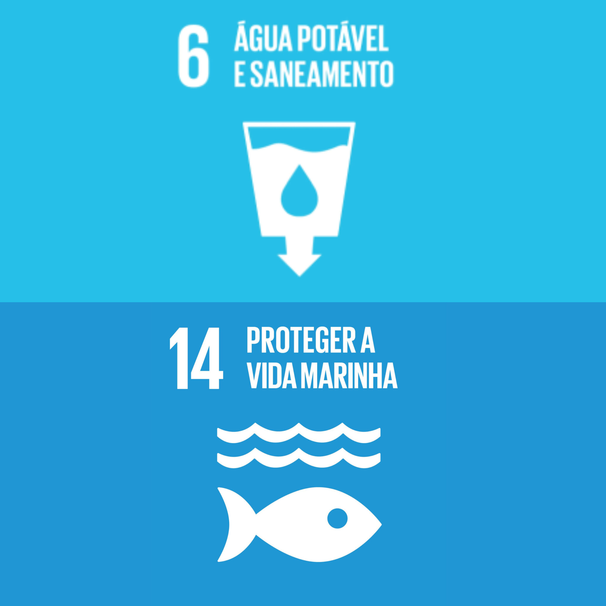 ´PODverde` – Podcast ODS 6 e 14: Água potável e saneamento | Proteger a vida marinha